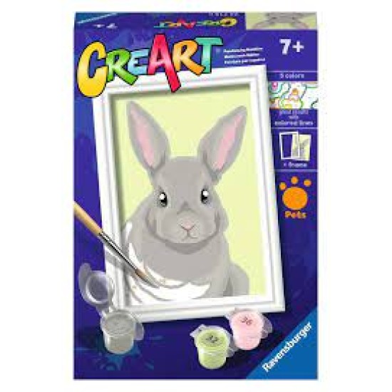 Gray Rabbit