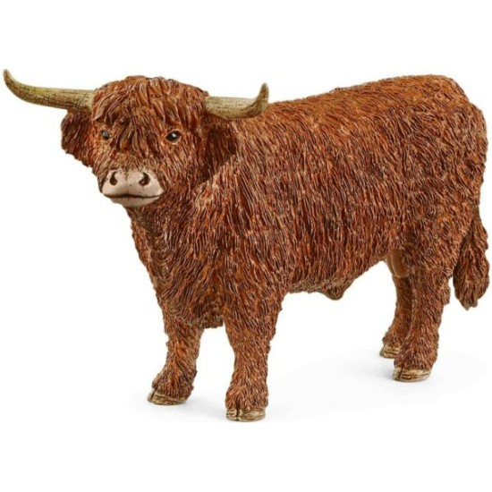 Highland Stier