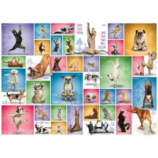 Yoga Dogs (1000)