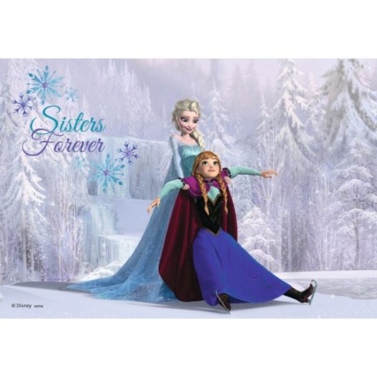 Disney Frozen - Zussen Voor Altijd  (2 X 24)