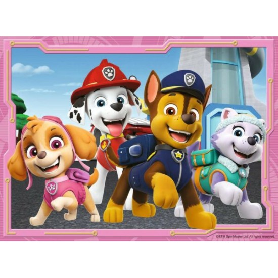 Paw Patrol (12  And  16  And  20  And  24)