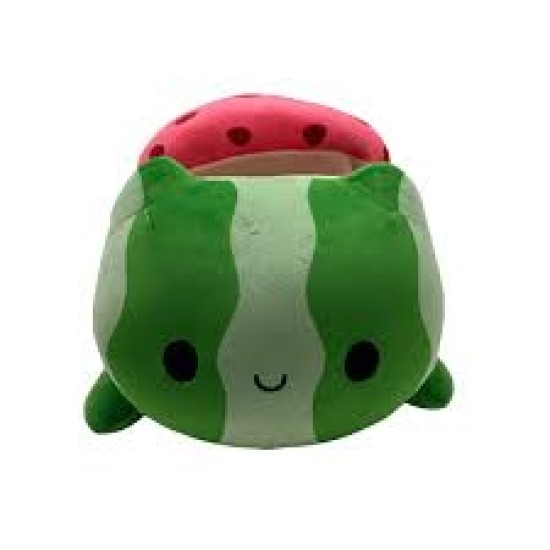 Sushi Watermelon Cat